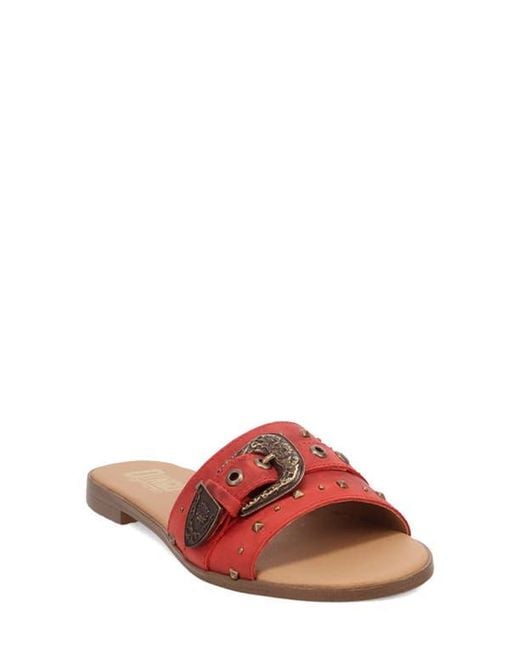 Dingo Red Lariat Slide Sandal