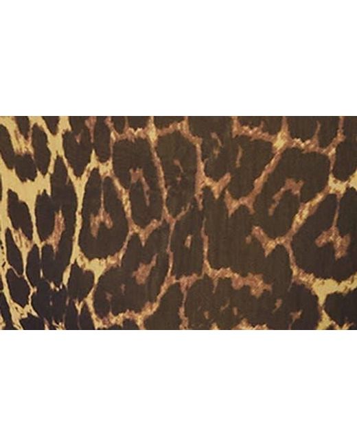 Steve Madden Brown Hailee Print Dress