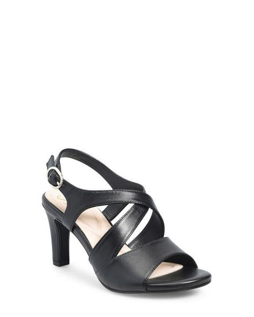 Söfft Multicolor Jolene Sandal