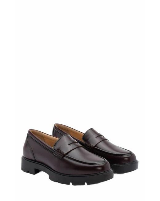 ABEO Brown Boulevard Loafer