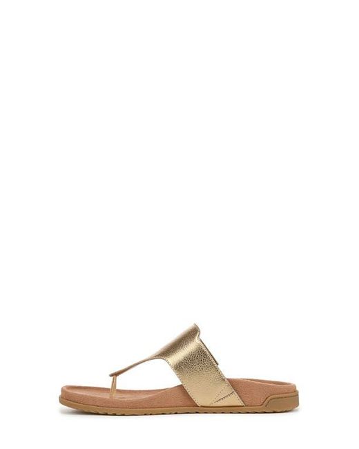 Vionic Brown Emma Flip Flop