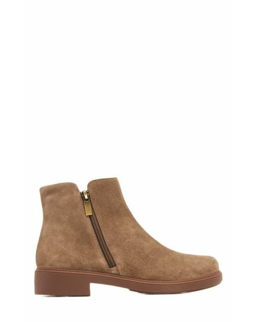ABEO Brown Compass Zip Boot