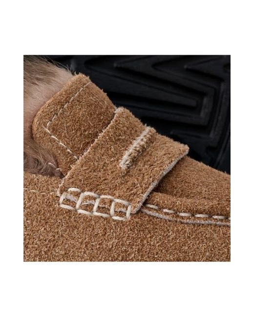 Ugg Brown Ellis Wool Loafer