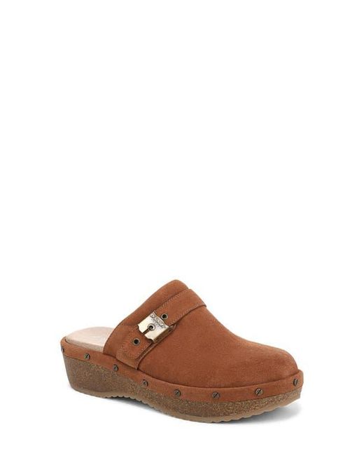 Dr. Scholls Brown Originalflex Clog