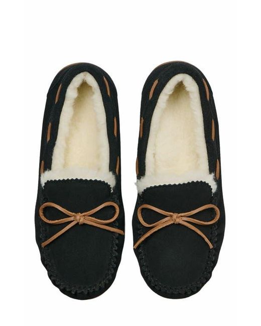 ABEO Black Amble Bow Slipper