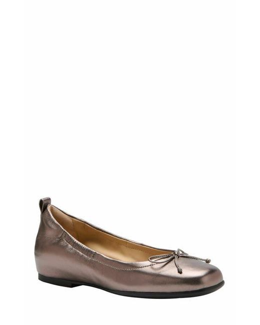 ABEO White Cadence Bow Ballet Flat