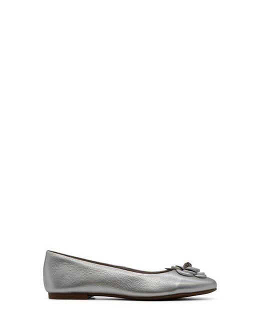 BOTTER Gray Botsamya Ballet Flat