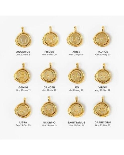 Bearfruit Jewelry Metallic 14K Plated Seal Constellation Necklace 12 Zodiac Signs Holiday Gift Guide