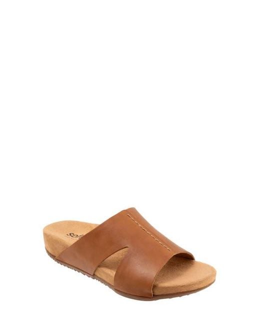 Softwalk® Brown Beverly Sandal