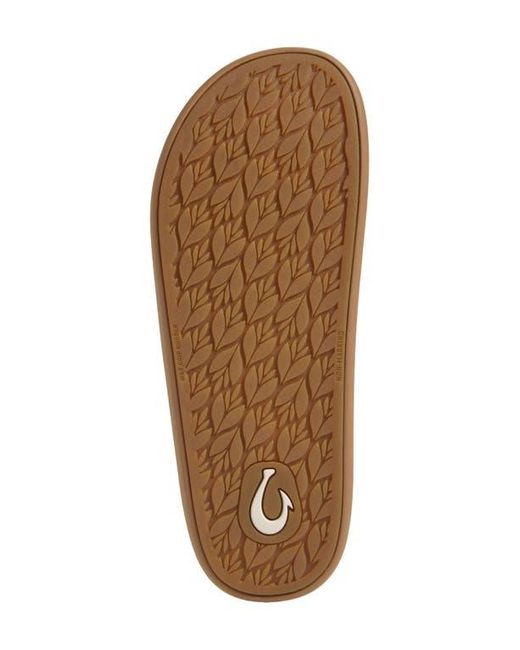 Olukai Brown Pae Slide Sandal
