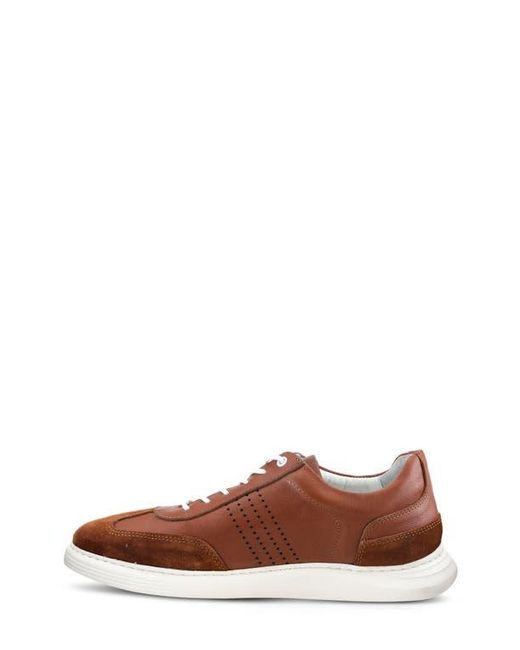 Spring Step Brown Trenton Sneaker for men