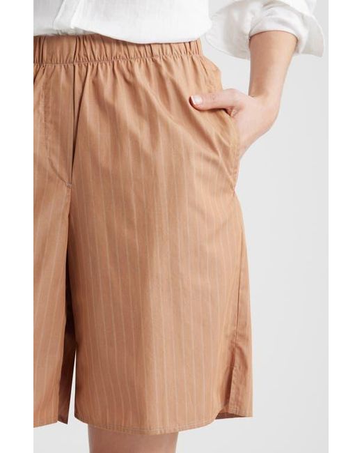 CISSA Brown Knee Length Shorts