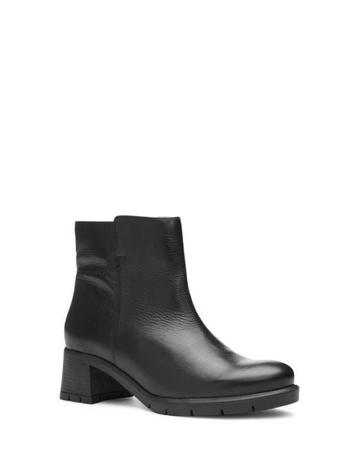 Ara Black Plum Side Zip Bootie