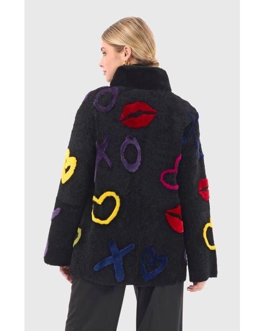 Gorski Blue Shearling Lamb Zip Short Jacket