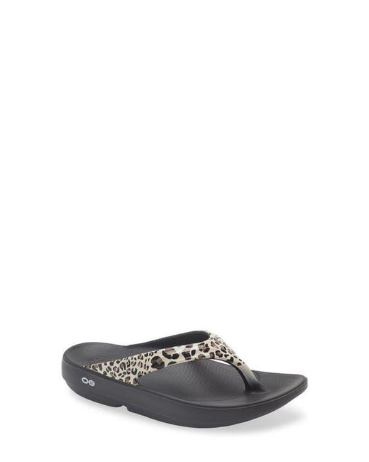 OOFOS Gray Oolala Flip Flop