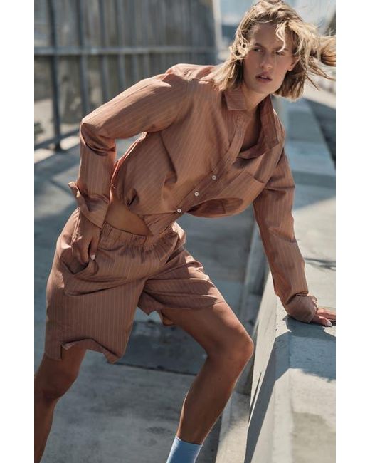 CISSA Brown Knee Length Shorts