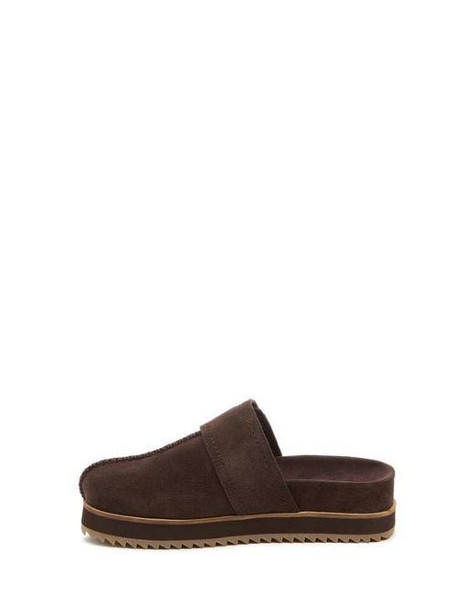 Kelsi Dagger Brooklyn Brown Fig Platform Mule
