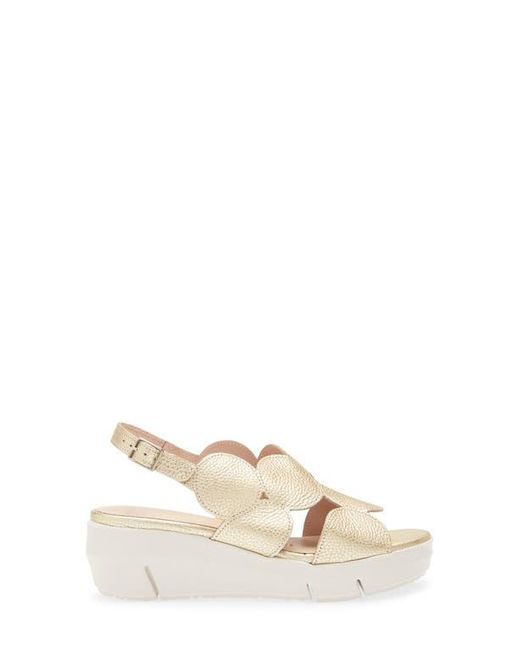 Wonders Natural Platform Sandal