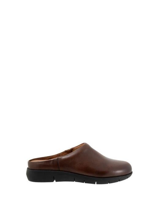 Softwalk® Brown Andria Mule