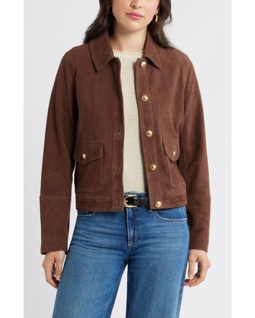 Caslon Brown Button Front Suede Jacket