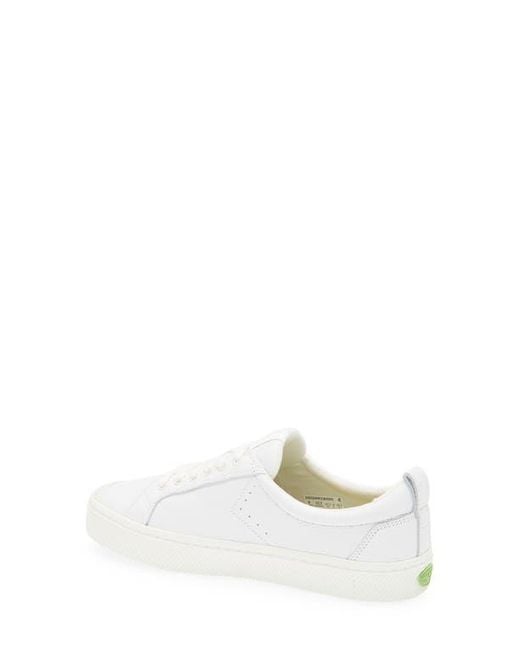 CARIUMA White Oca Low Cap Tie Sneaker