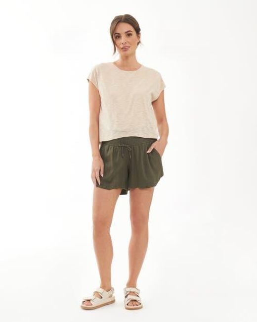 Ripe Maternity Natural Jazmin Nursing Tee