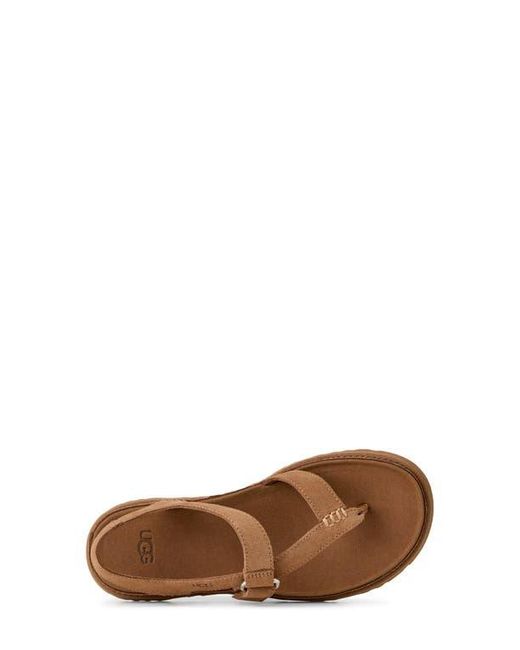 Ugg Brown Goldengaze Toe Post Suede Sandal