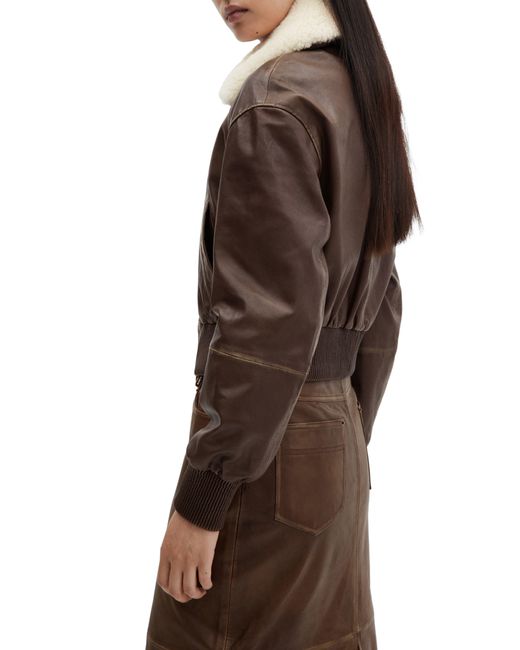 Mango Brown Leather Bomber With Removable Faux Shearling Collar