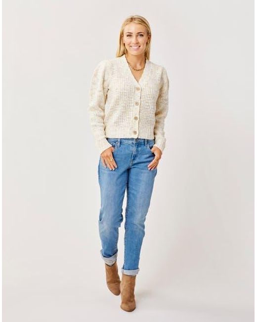 Carve Designs Blue Carson Jean