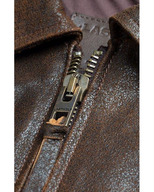 Last Wolf Brown Rainier Moto Jacket for men