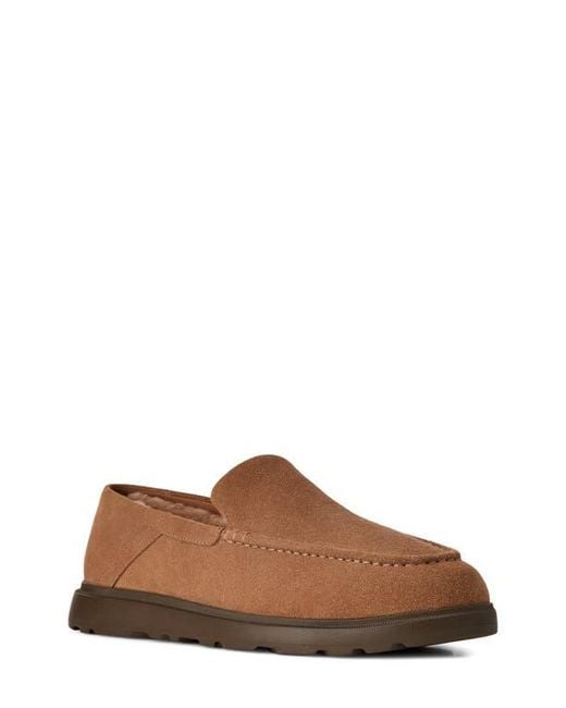 Ugg Brown Shep Loafer Slipper for men