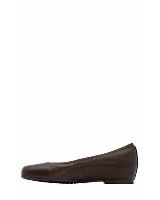 ABEO Brown Cadence Ballet Flat