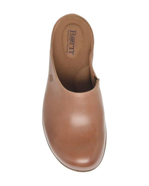Børn Brown Elliot Clog
