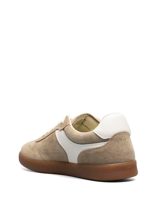 Florsheim Multicolor Pace T-Toe Low Top Leather Sneaker for men