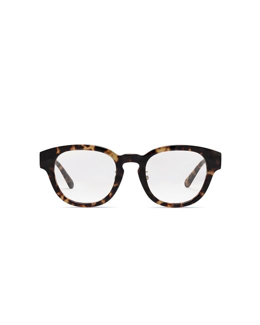 COVRY Brown Norma Light Blocking Glasses