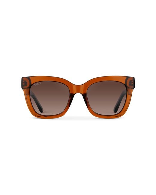 WMP Eyewear Brown Stormi