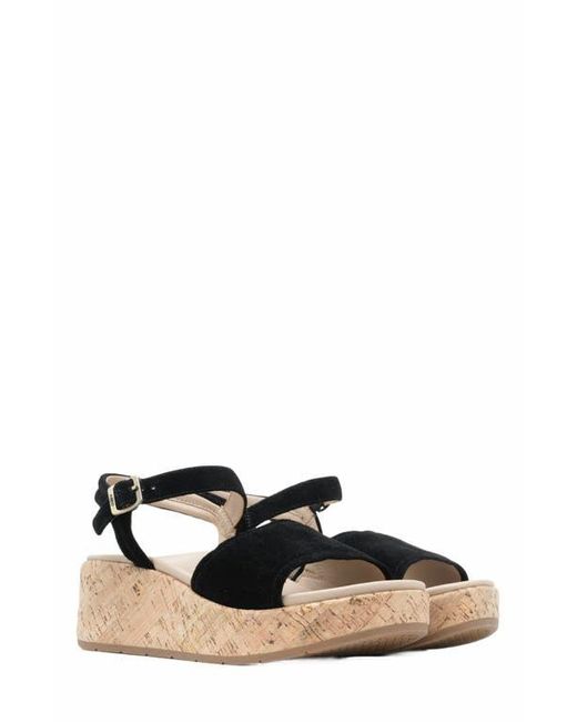 ABEO Black Solstice Buckle Sandal