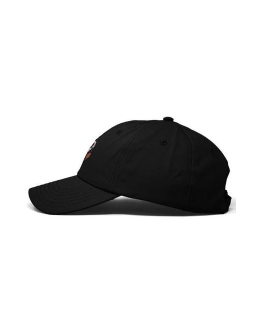 Alix Black Capybara Donut Embroidered Cap for men