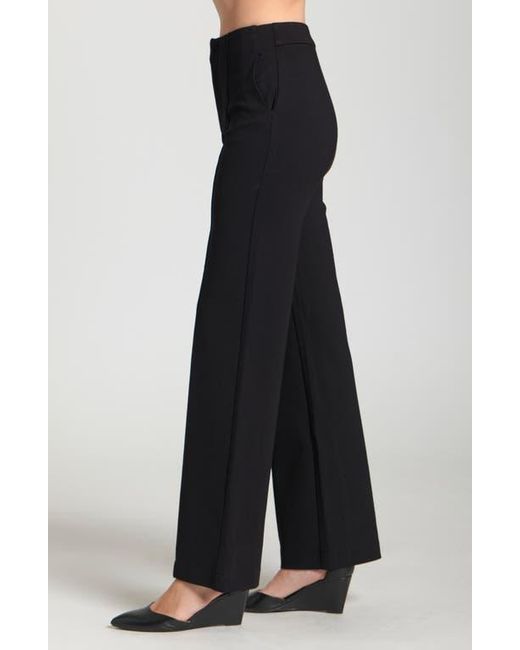 Apny Black Pintuck Pleat Pants