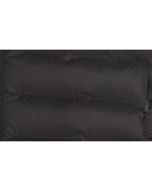Marmot Blue Echo Featherless Vest