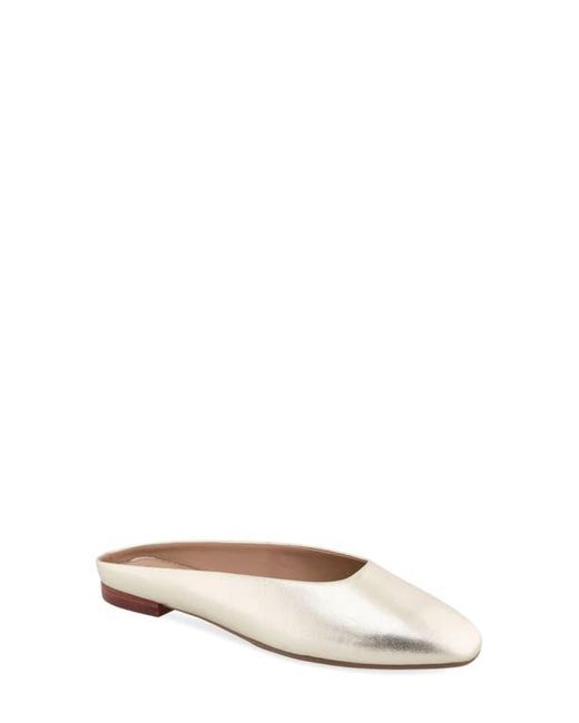 Aerosoles Multicolor Amara Mule