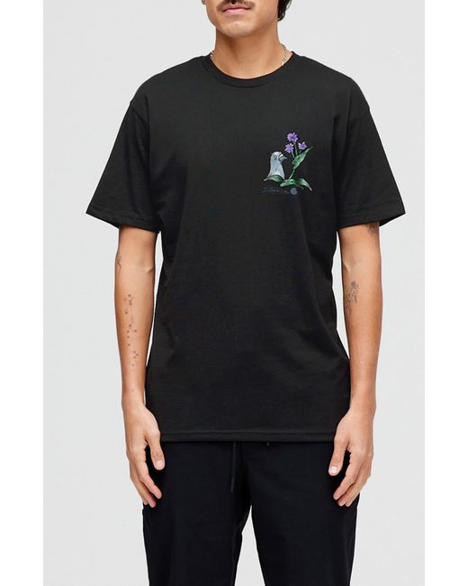 Stance Black Pigeon Street Cotton Graphic T-shirt for men