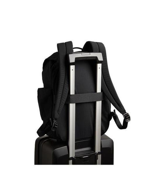 Bellroy Black Cinch 20L Backpack