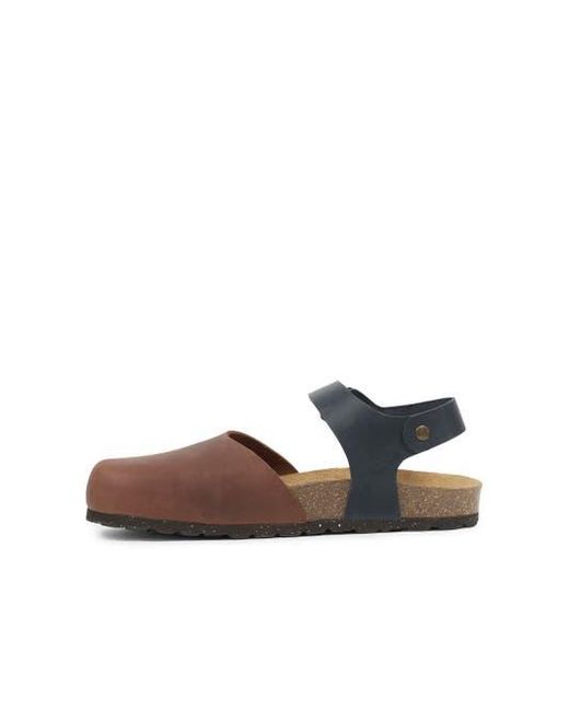 Celtic & Co. Multicolor Closed Toe Sandal