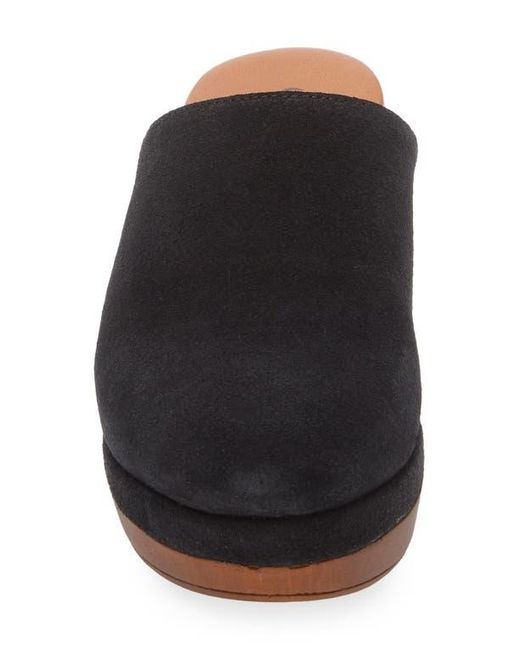 Cordani Brown Wanda Clog