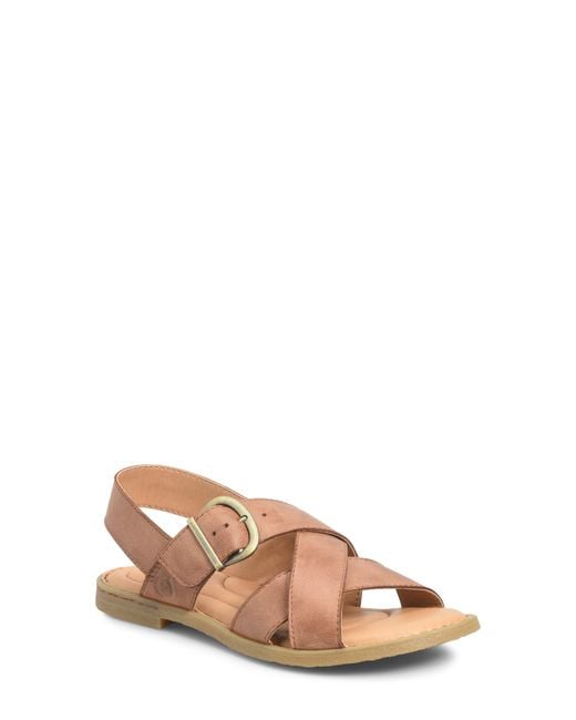 Børn Multicolor Beebe Sandal