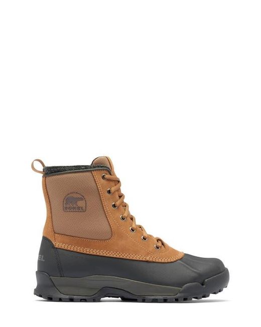 Sorel Brown Buxton Lite Waterproof Boot for men