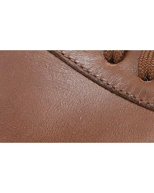 Dansko Brown Trevor Sneaker for men