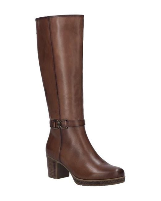 Josef Seibel Brown Gloria 02 Knee High Boot
