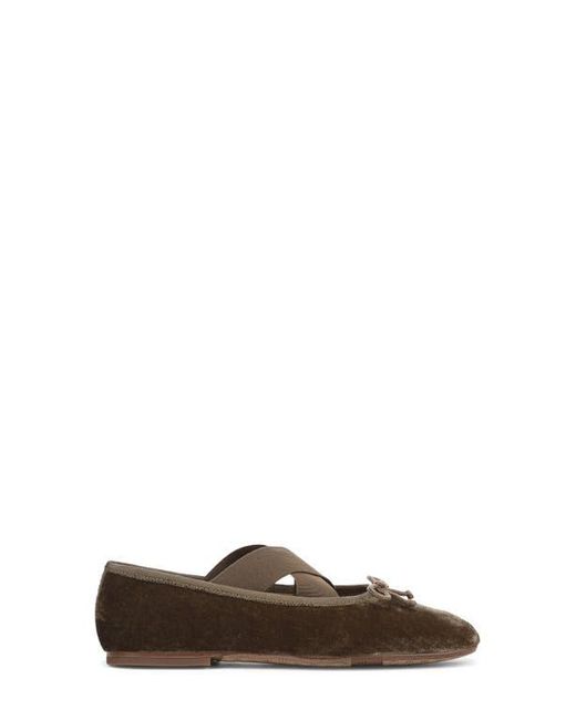 Sam Edelman Brown Arya Ballet Flat